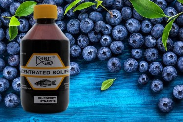 Blueberry Dynamite